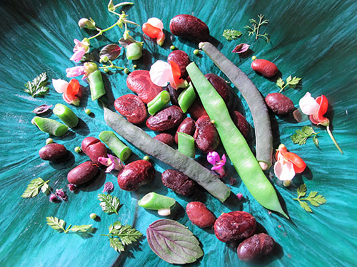 Food display