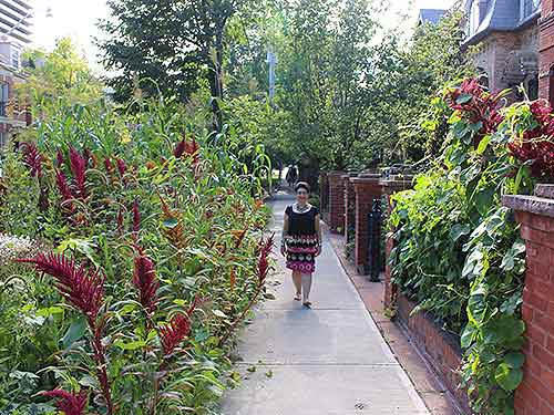 Vivian and garden surrounding sidewalk Vivian and garden surrounding sidewalk
